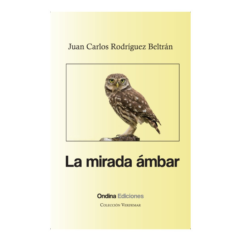 "La mirada ámbar", Juan Carlos Rodríguez Beltrán