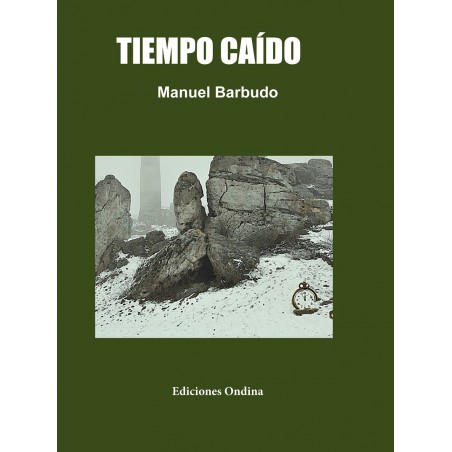 "Tiempo caído", Manuel Barbudo